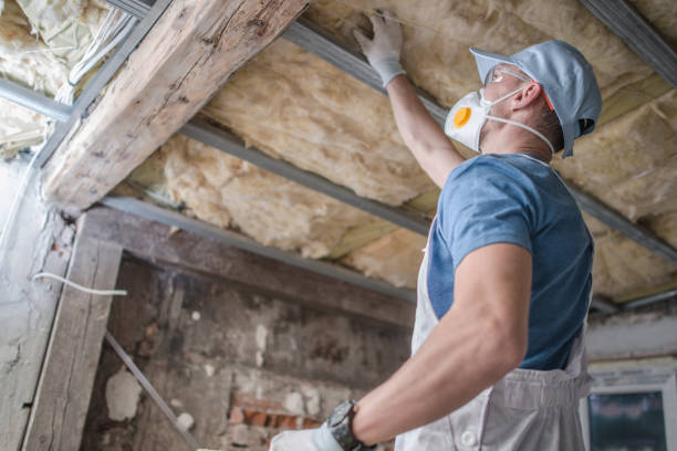 Best DIY Insulation Kits and Guidance in Pittsburgh, PA